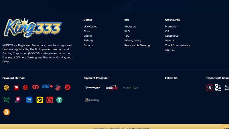 king333 image 3